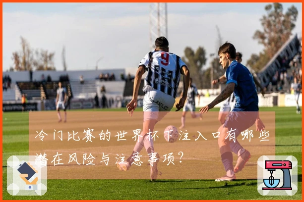 冷门比赛的世界杯下注入口有哪些潜在风险与注意事项？