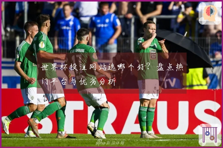 世界杯投注网站选哪个好?盘点热门平台与优劣分析