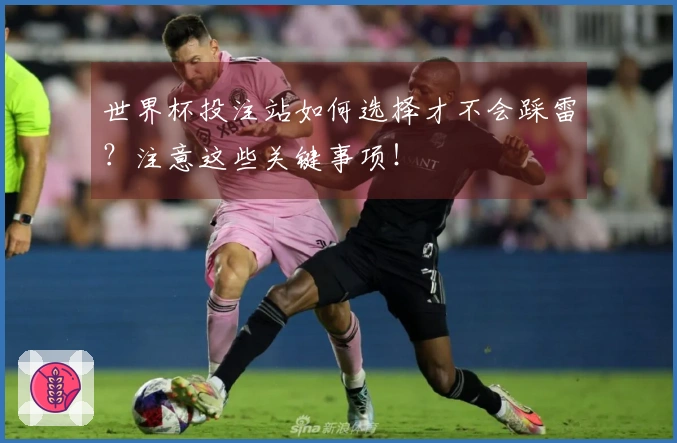 世界杯投注站如何选择才不会踩雷？注意这些关键事项！