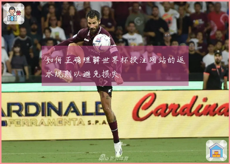 如何正确理解世界杯投注网站的返水规则以避免损失
