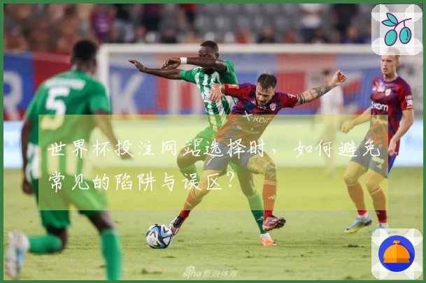 世界杯投注网站选择时，如何避免常见的陷阱与误区？