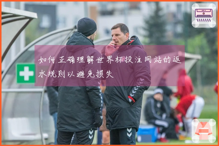 如何正确理解世界杯投注网站的返水规则以避免损失