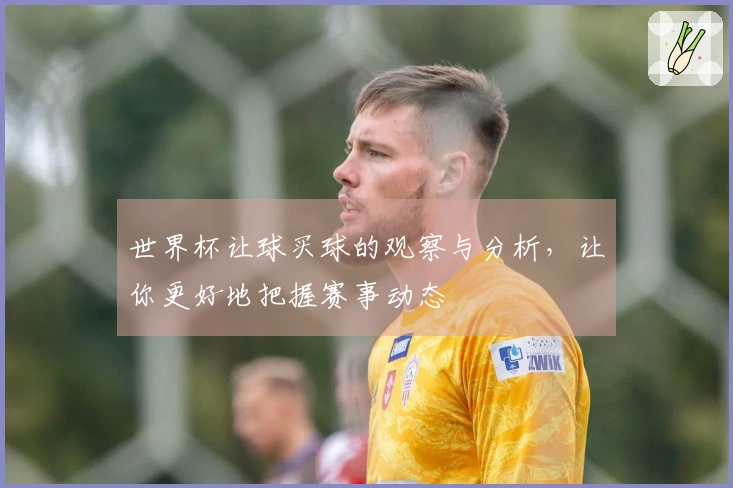世界杯让球买球的观察与分析，让你更好地把握赛事动态