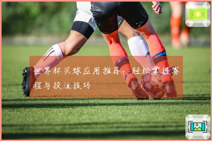 世界杯买球应用推荐，轻松掌握赛程与投注技巧
