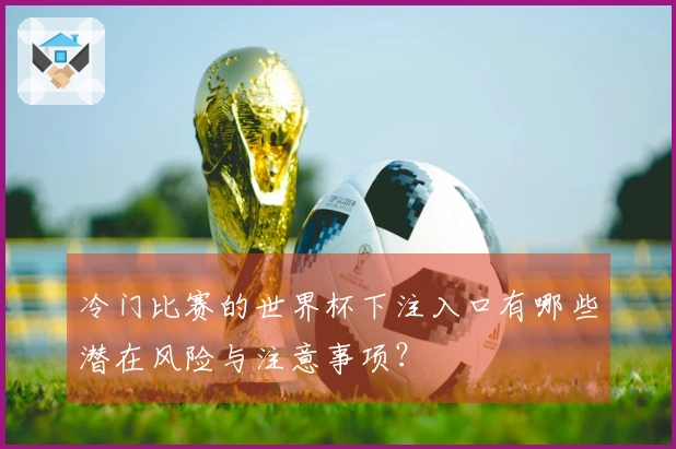 冷门比赛的世界杯下注入口有哪些潜在风险与注意事项？