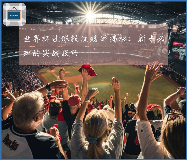 世界杯让球投注赔率揭秘：新手必知的实战技巧