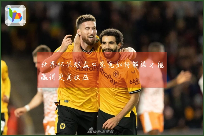 世界杯买球盘口究竟如何解读才能赢得更高收益